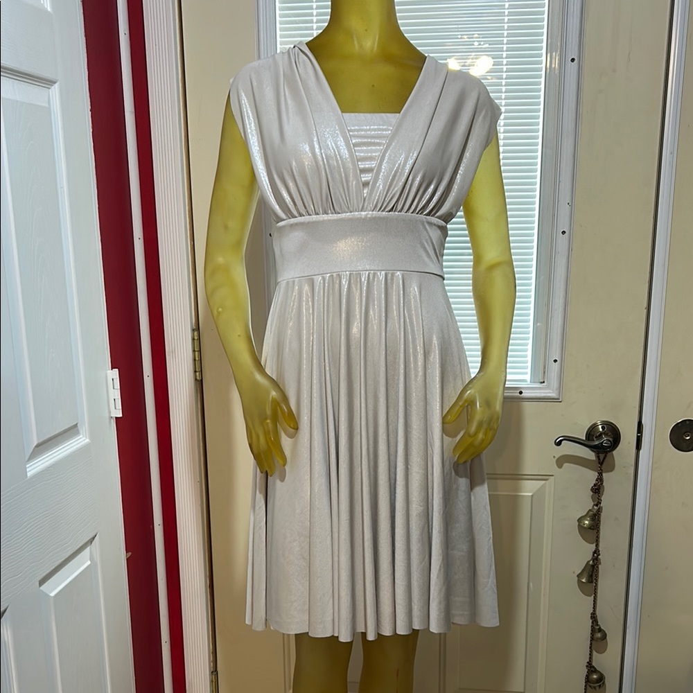 NWT White House Black Market elegant dress